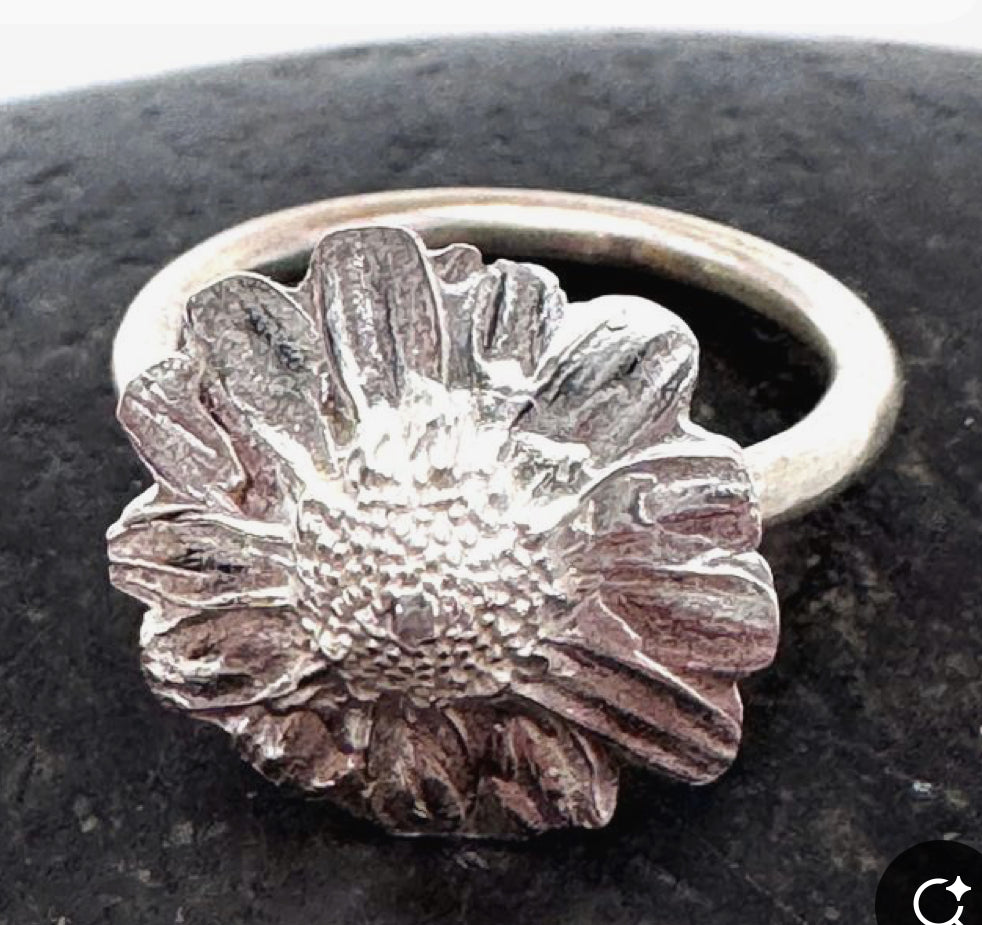 Fizz and Silver Making New Tues, Thurs, Sat evening and afternoon Short Course Botanical and Nature Silver or Resin Workshop Garstang studio