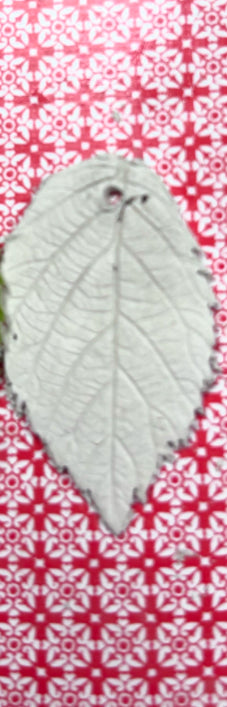Silver and Clay Making Workshop
