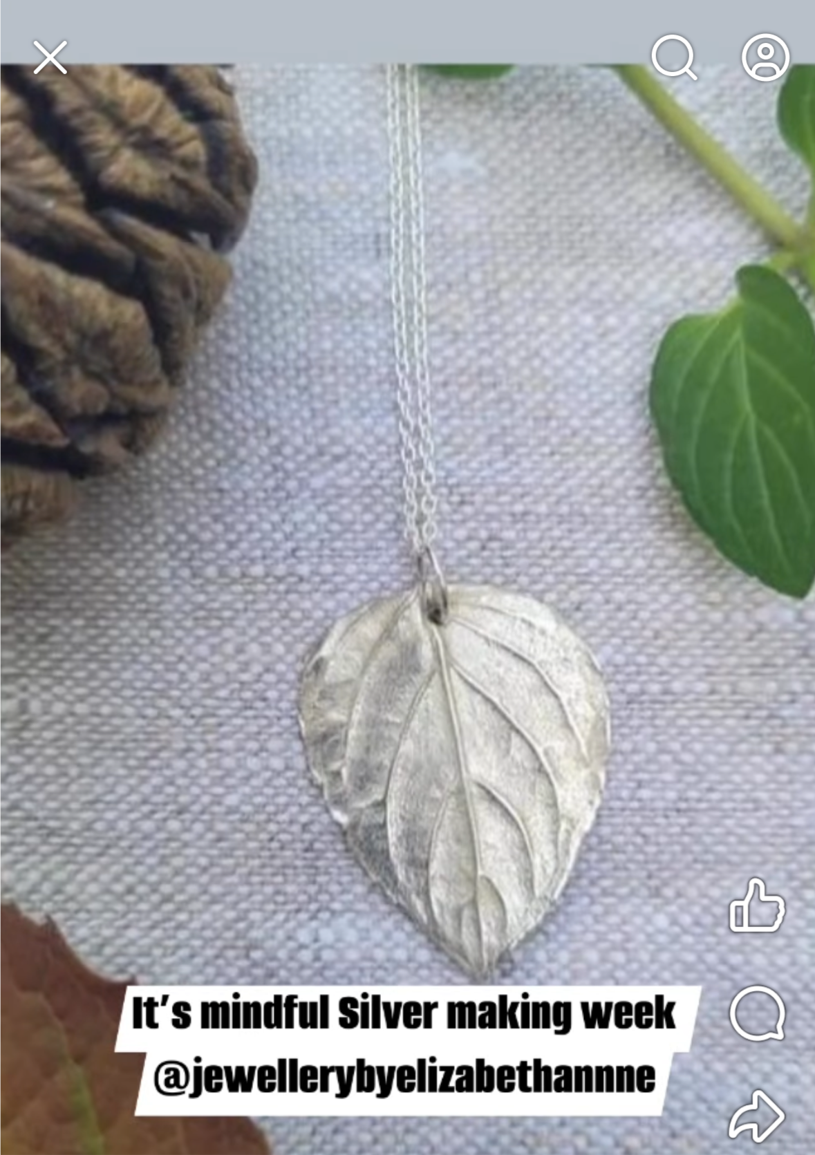 Beginners/intermediate level  Fizz Botanical Silver Clay Course WEDNESDAY 27th MAY 7pm