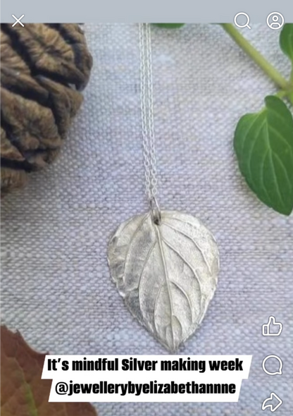 Beginners/intermediate level  Fizz Botanical Silver Clay Course WEDNESDAY 27th MAY 7pm