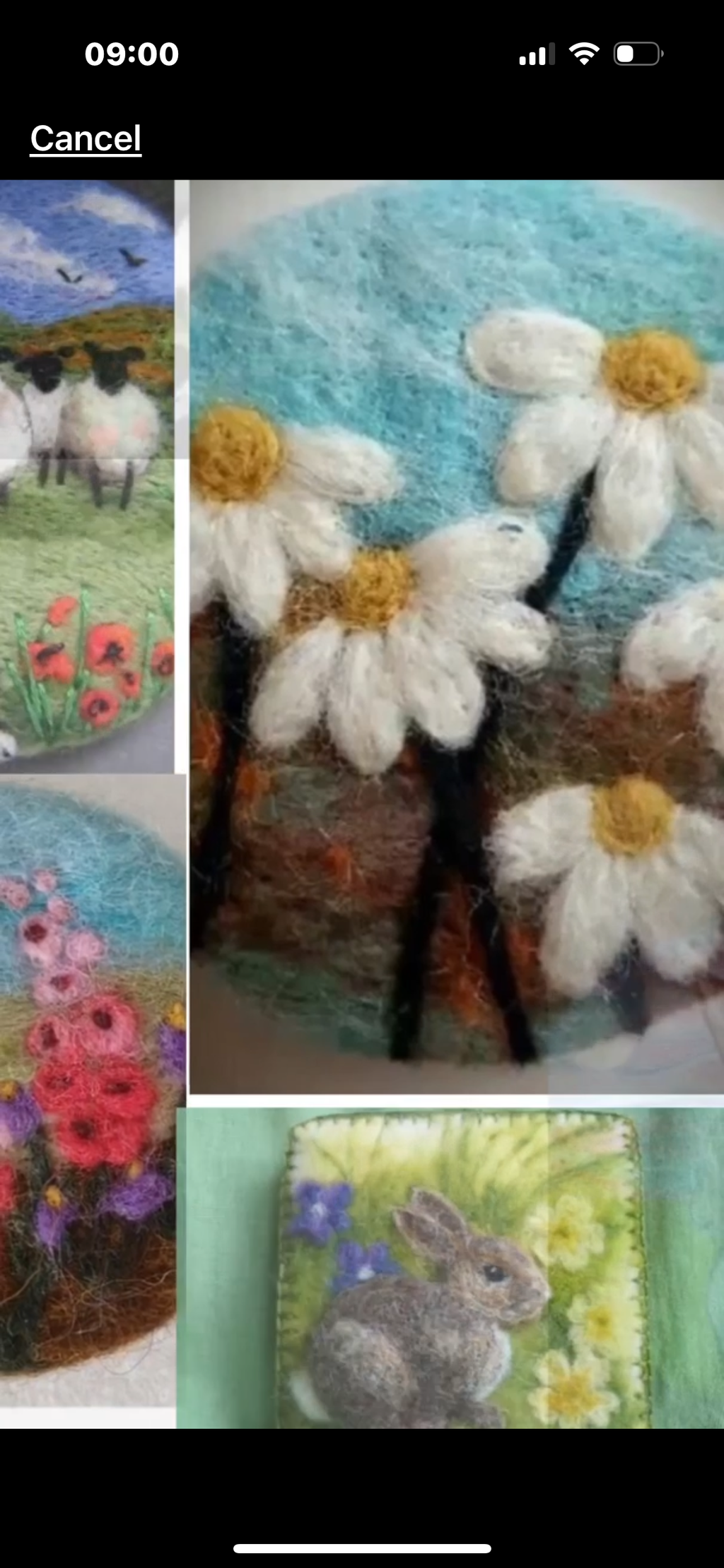 Fizz n Felt Beginners Wet and Needle felted bunnies, dogs, flowers in style of ‘Beatrix Potter’ or all 3 😂Brooch or Picture kit workshop