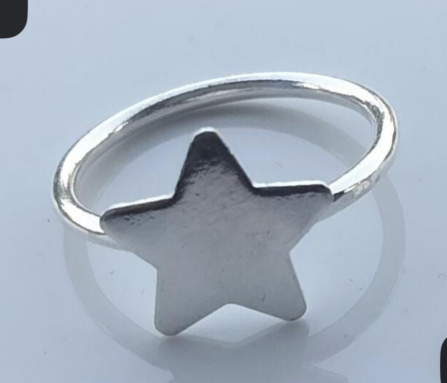 Beginners Botanical and Flora Silver Workshop 17/12/25 and other dates