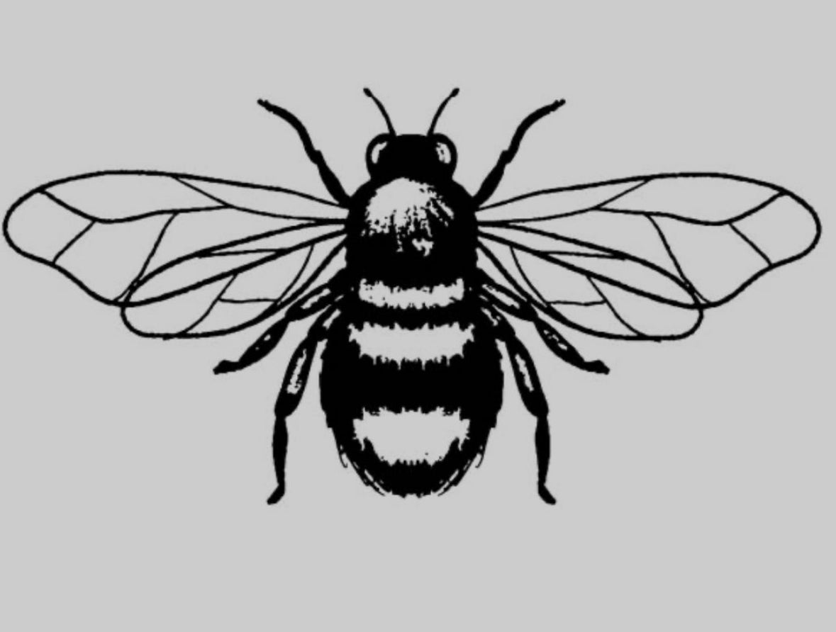 Garstang Summer Beginners Jewellery workshop Wed 12th August 7pm Make a bee 🐝