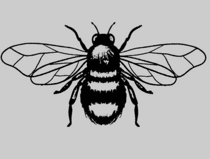 Garstang Summer Beginners Jewellery workshop Wed 12th August 7pm Make a bee 🐝