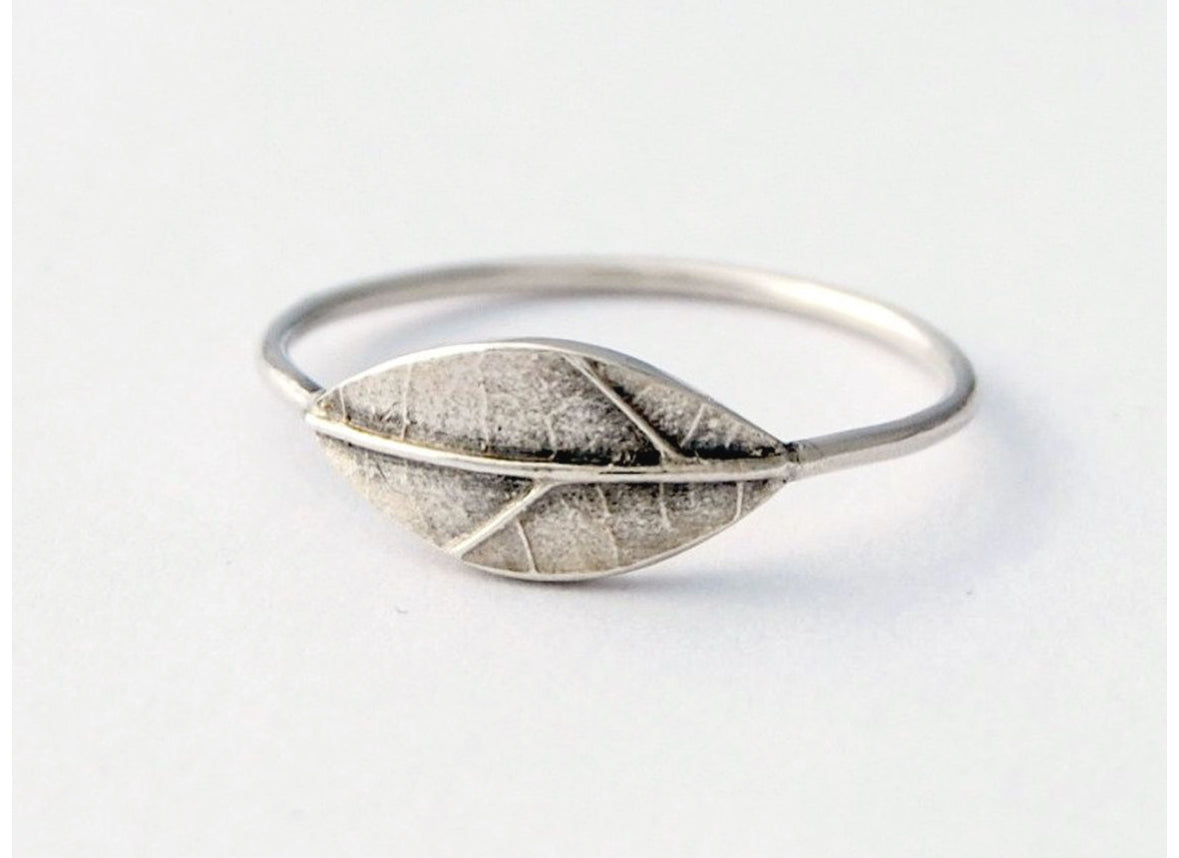 Beginners Botanical and Flora Silver Workshop 17/12/25 and other dates