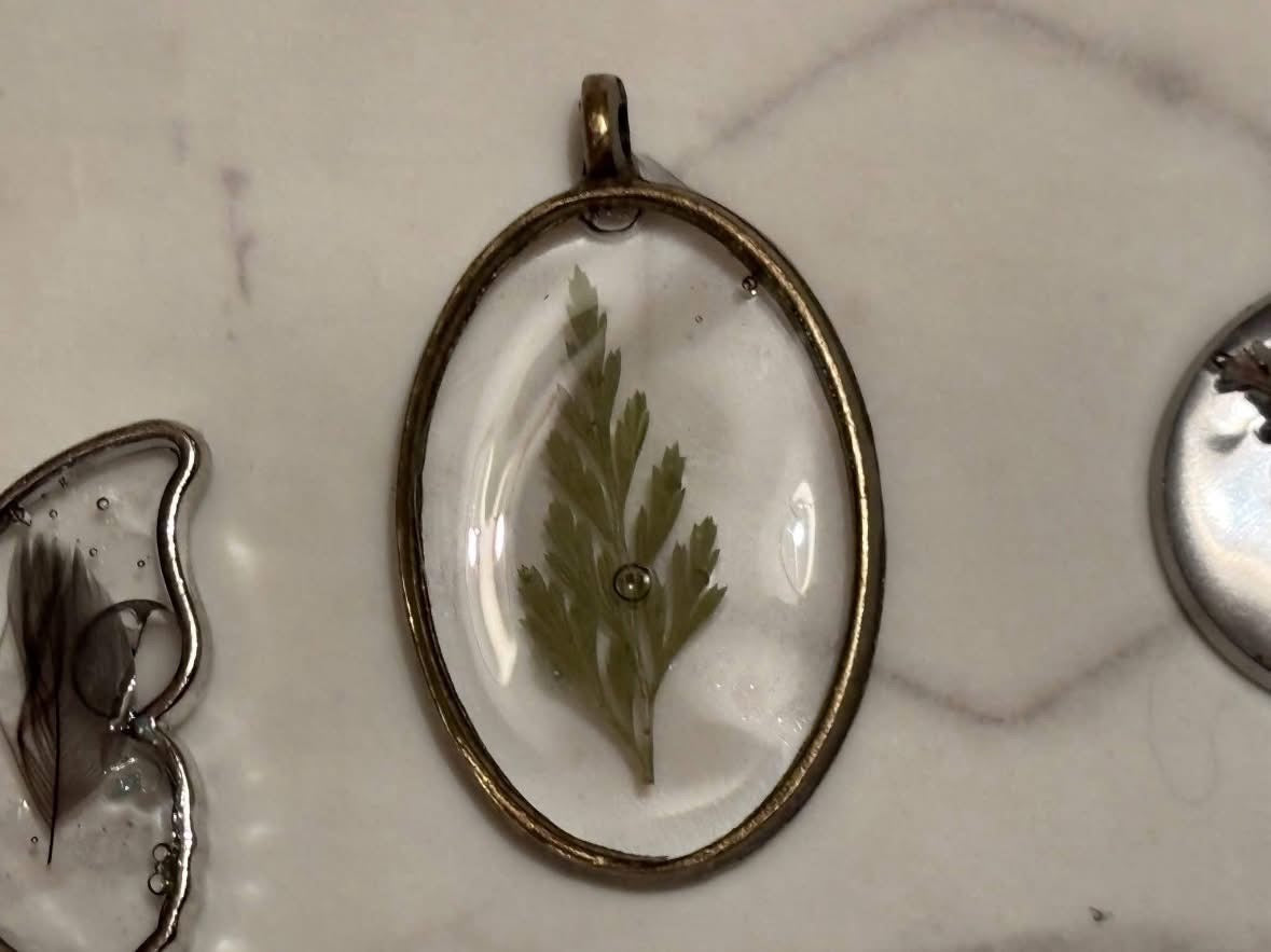 Saturday Beginners Botanical and Flora Silver/Resin choose your Workshop or do both